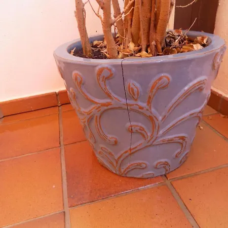 Belvilla By Oyo Playa Apartment Granada